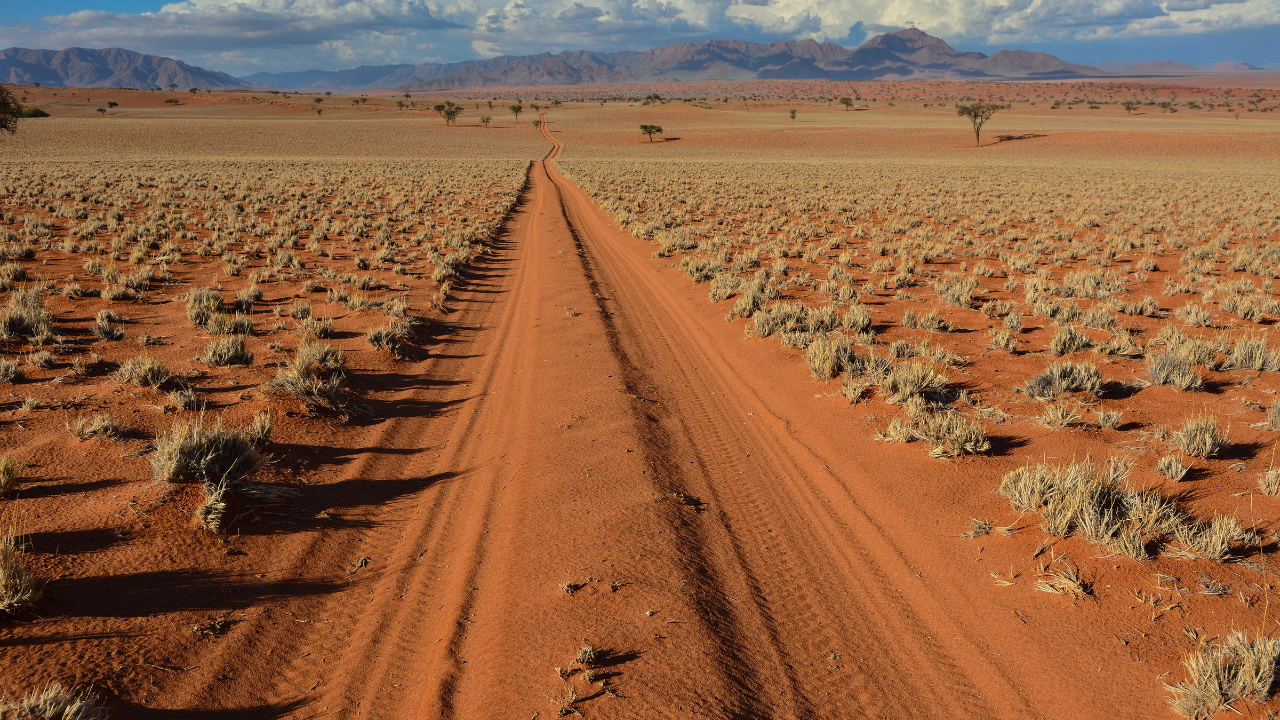 Road in NamibRand Nature Reserve, Namibia.