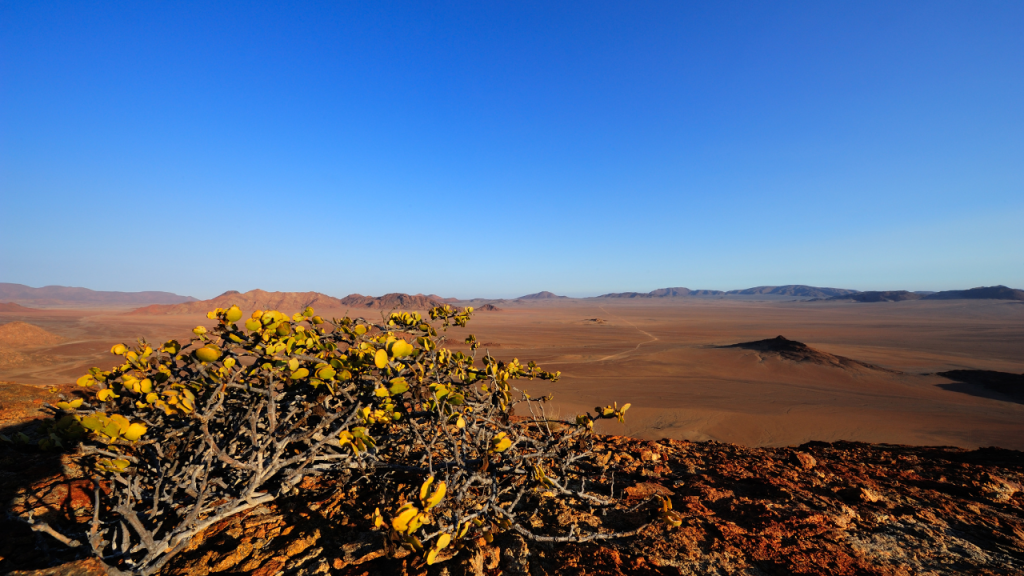 View of the Messum Crater in Namibia.