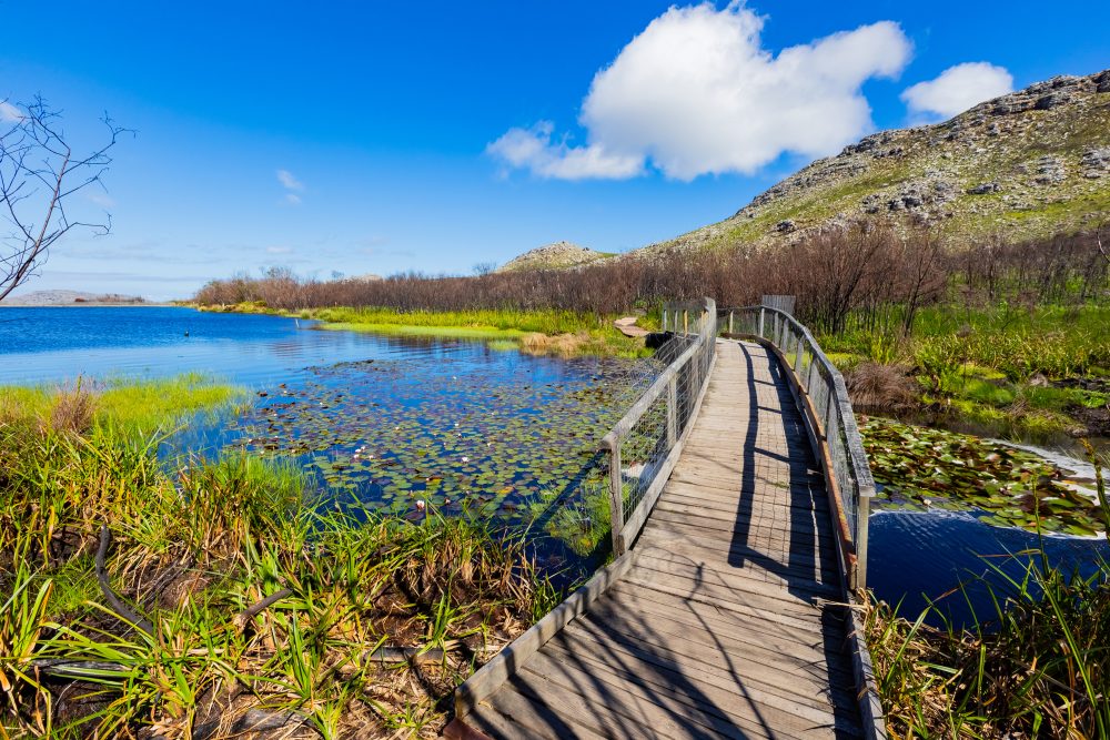 View of the Silvermine Dam in the Silvermine Nature Reserve, Cape Town.