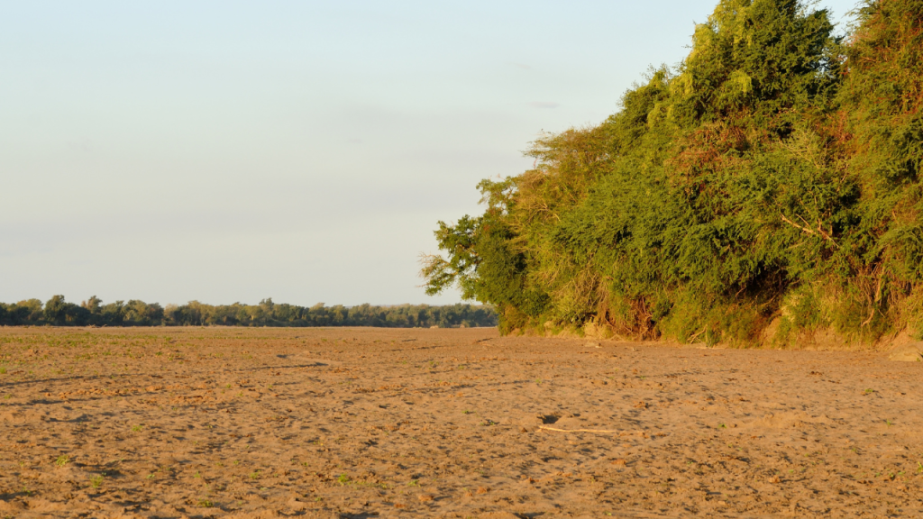 Limpopo river during the dry season.