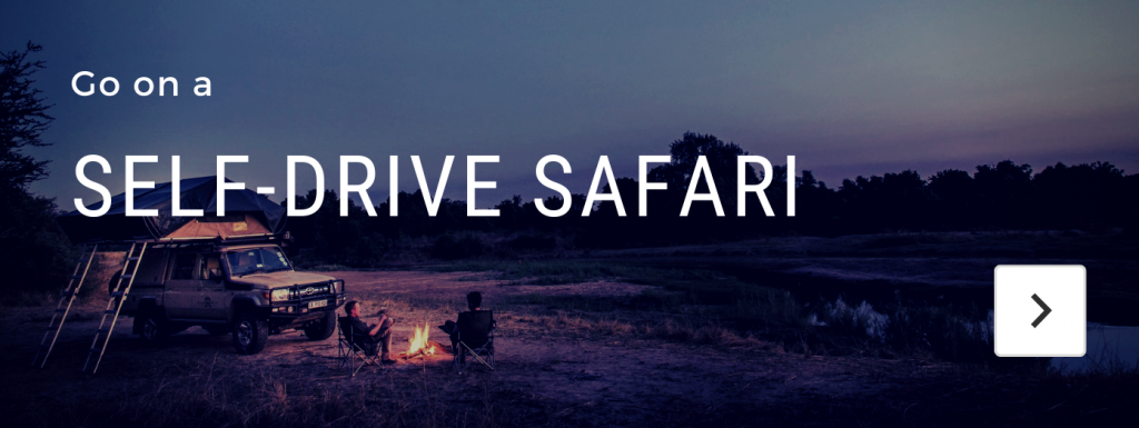 self drive safari across africa