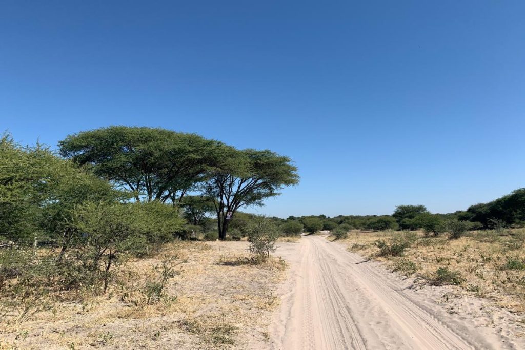 A road to one of the Botswana border posts.
