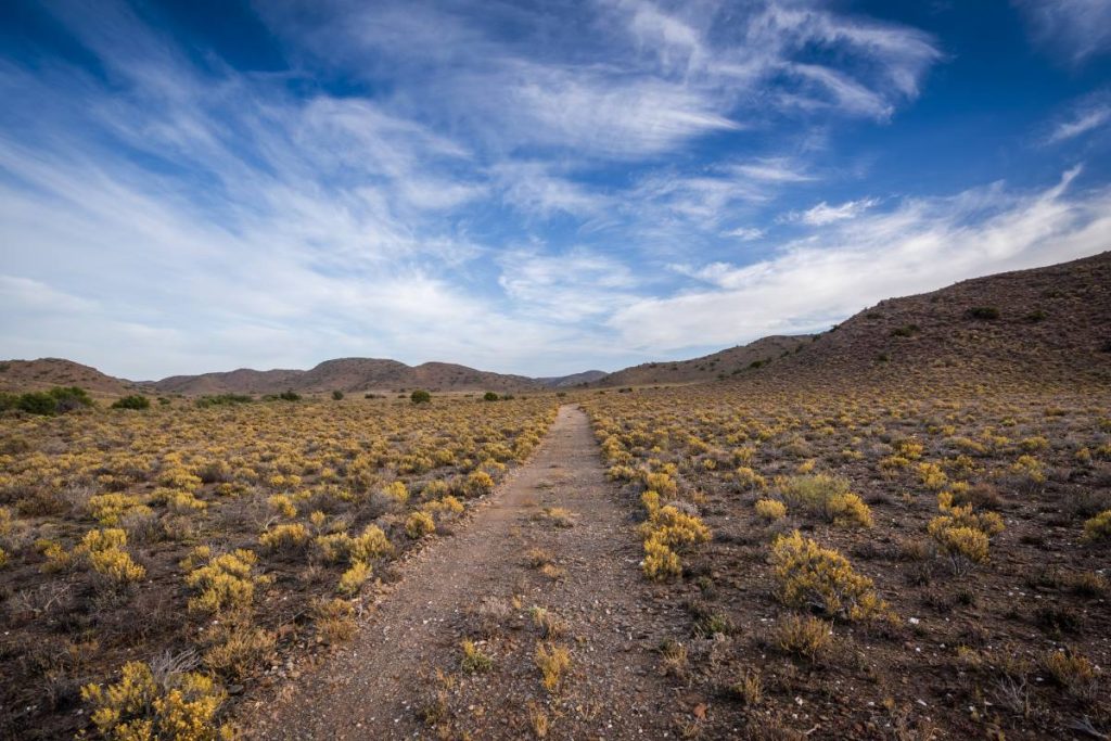 A gravel road in southern Africa.