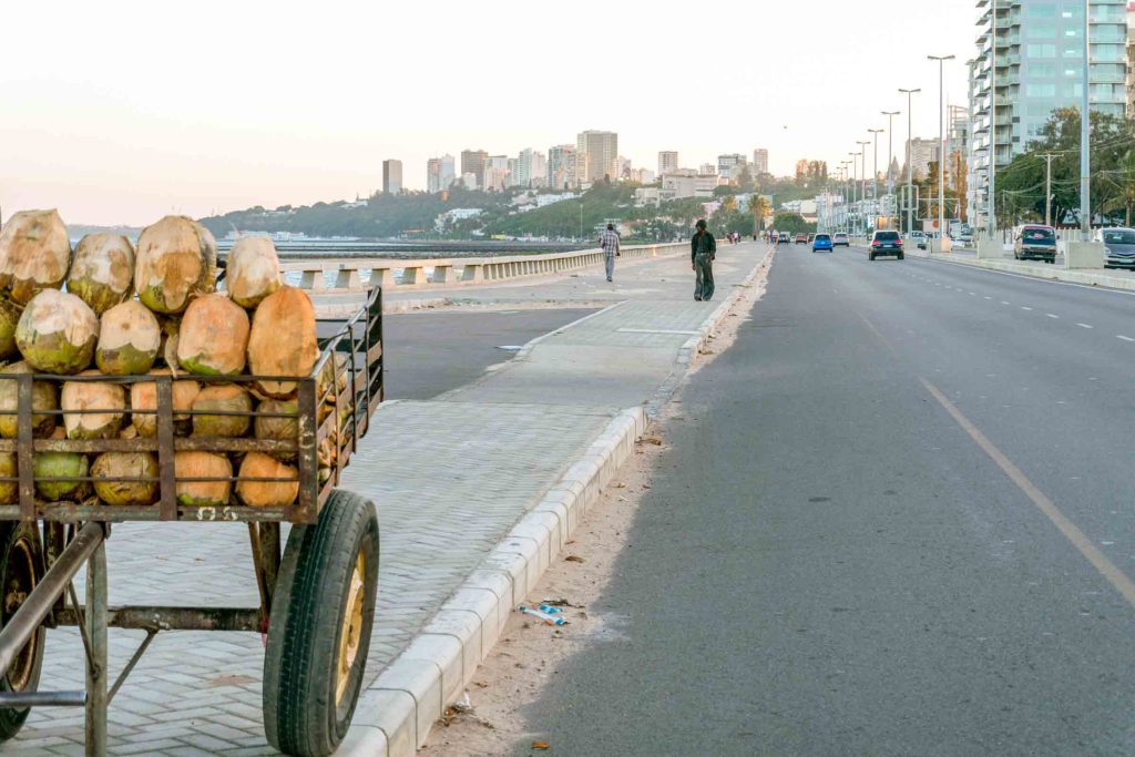 Cart full of coconuts by the street on Costa do Sol in Mapouto, Mozambique.