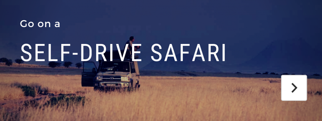 self drive african safari