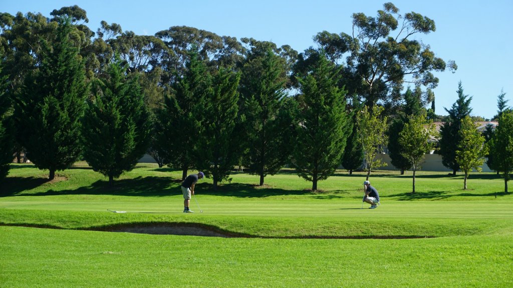 Two men on the green fairway playing golf.