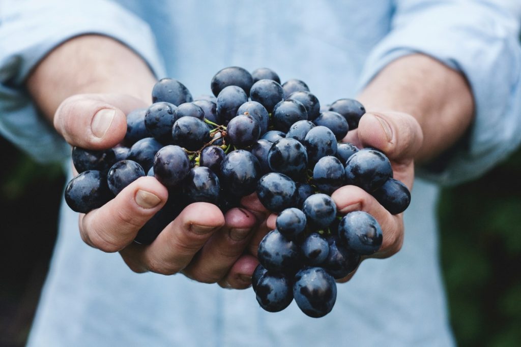 A person holding grapes.