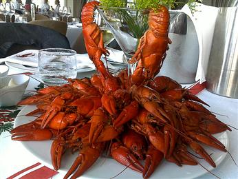 Lamberts Bay Crayfish & Culture Festival