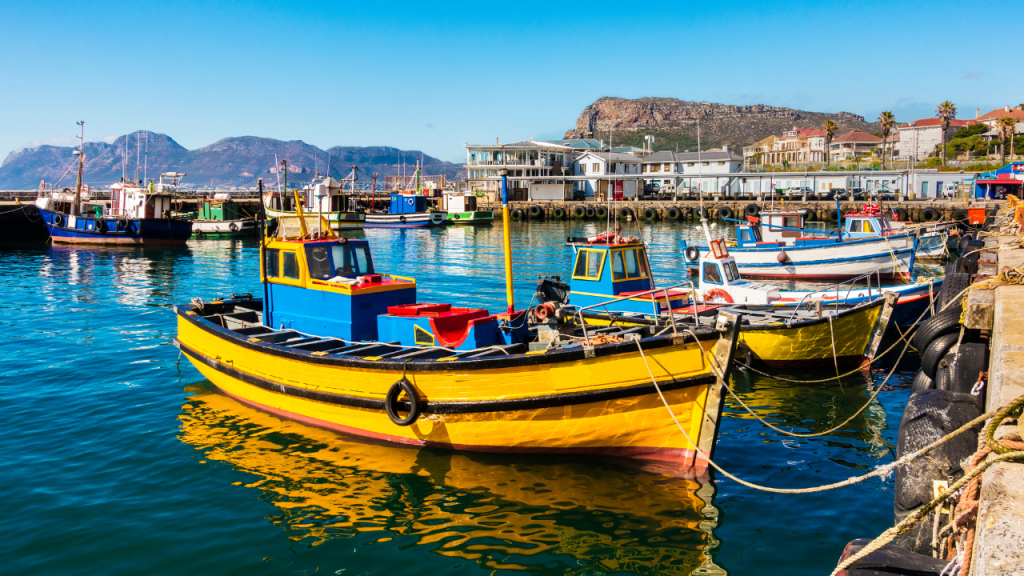 Colourful fishing boats in the Kalk Bay harbour, Cape Town.