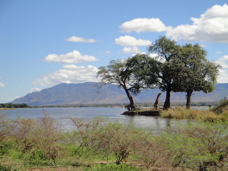 island_in_the_zambezi_river_at_mana_pools_national_park-1
