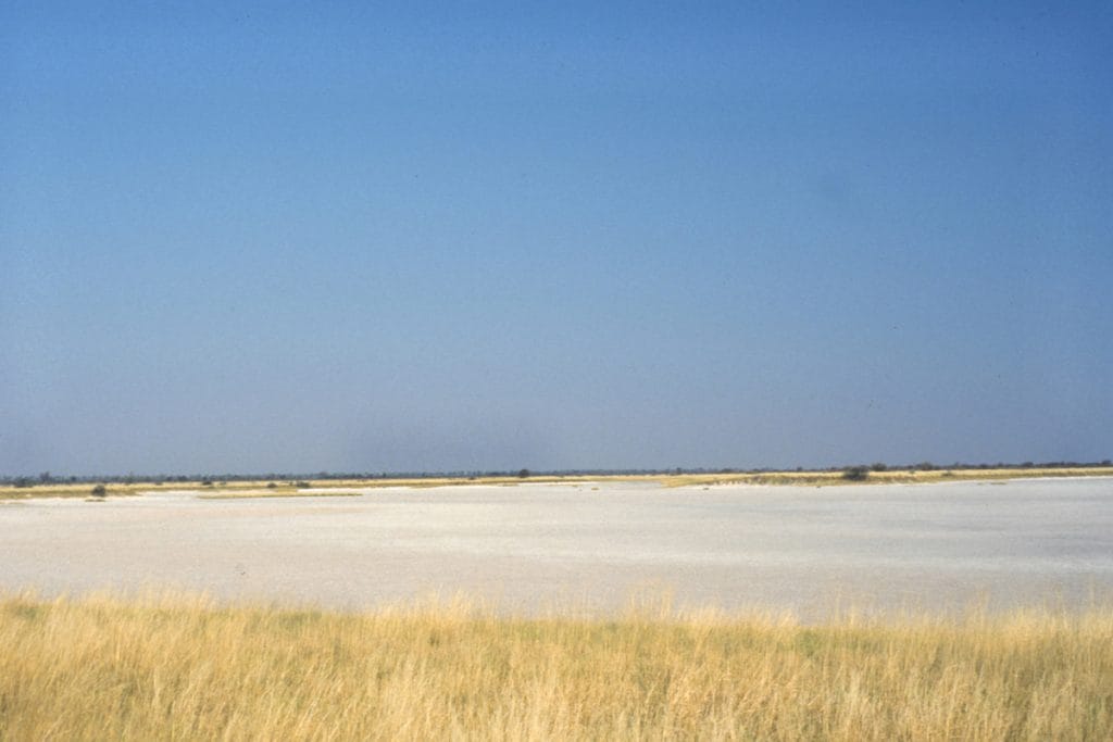 Salt Pan, Nxai Pan National Park, Botswana