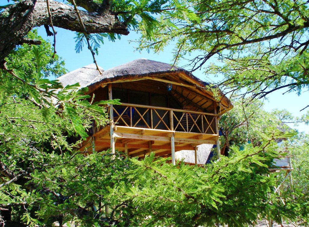 Pezulu Tree House Lodge, South Africa | Photo credits: Pezulu Tree House Lodge