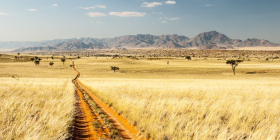 Self Drive 4x4 Namibia