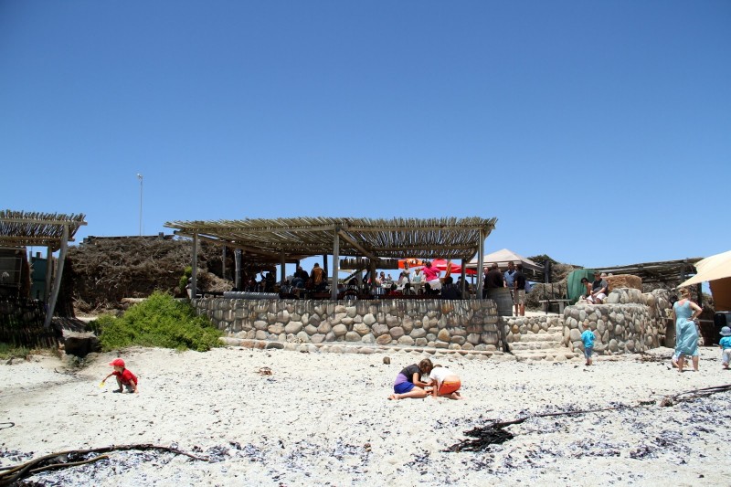 Muisbosskerm lamberts bay Beach Camp