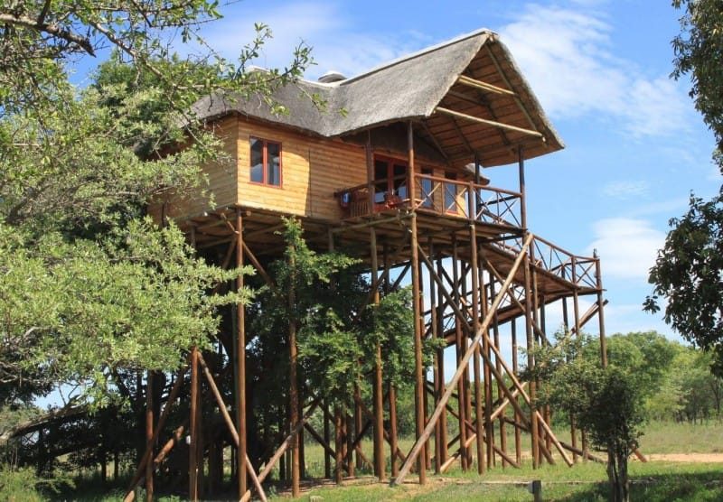 Pezulu Tree House Lodge, South Africa | Photo credits: Pezulu Tree House Lodge