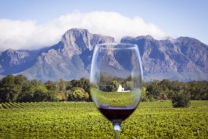 Drinking red wine in Stellenbosch.