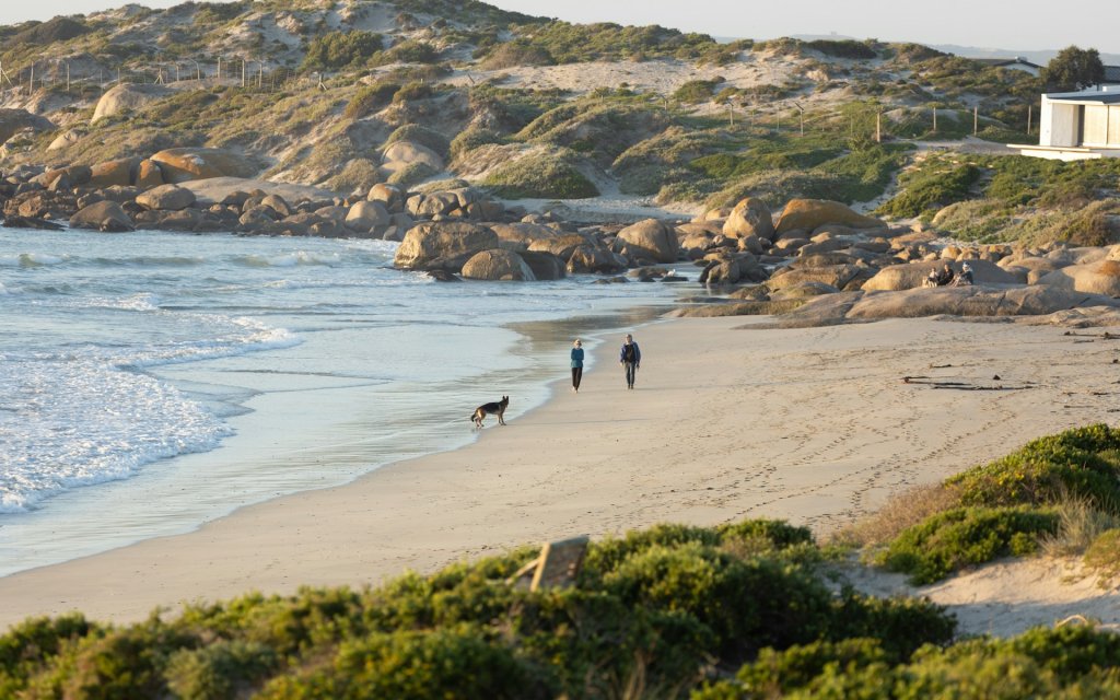 Two people and a dog enjoy a leisurely walk along a serene Paternoster beach, with gentle waves lapping at the shore.