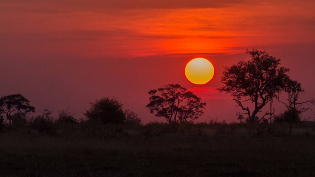Sunset in the Okavango Delta, Botswana.