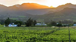 franschhoek_@petit_plaisir_cottage