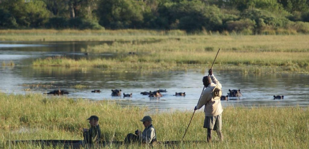 Makoro in Botswana on the Okavango Delta.
