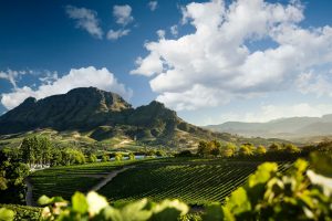 Banghoek Valley, Stellenbosh