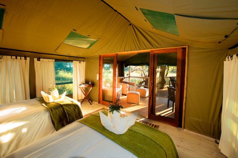 The 6 Best Safari Camps in Botswana | Drive South Africa (US)