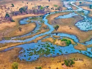Aerial view of the Okavango Delta in Botswana.