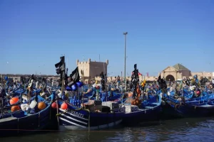 Boats docked in Essaouira, Morocco | Photo credits: The Daily Packers