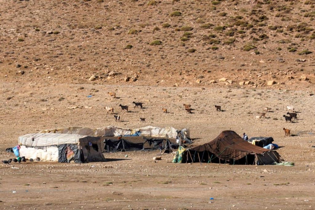 Berber camp in Morocco | Photo credits: Travel Kiwis