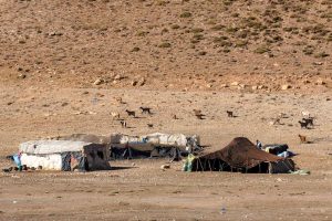 Berber camp in Morocco | Photo credits: Travel Kiwis