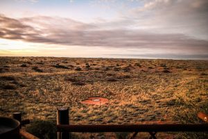 Landscape in Kgalagadi Transfrontier Park, South Africa | Photo credits: Travel Taale