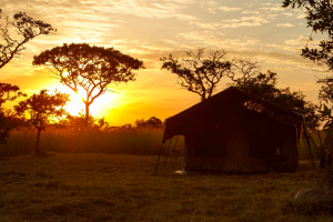 Sunrise view in camp at Serengeti Mara Tanzania | Photo Credits: Toine Ijsseldijk (Duni Art)