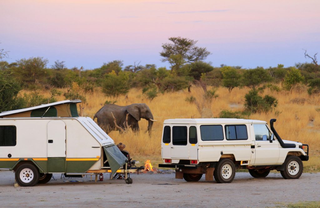 Elephant sighting on a self-drive sfari in Botswana.