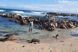 The Willows beach in Gqeberha, South Africa | Photo credits: Adventure Travel Coach