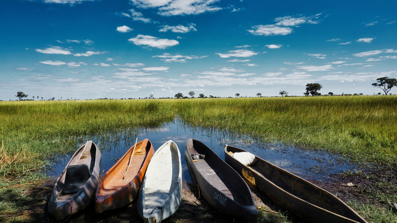 Mokoros in the Okavango Delta, Botswana.