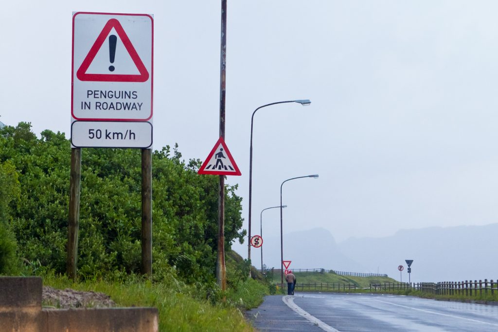 Penguin road signs, South Africa