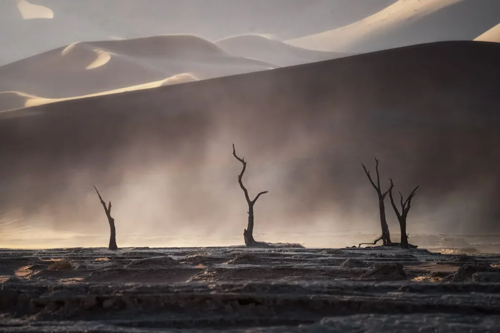 Deadvlei Trees - Photo Credits - Hotels & Hand Luggage (Sarah Andy)