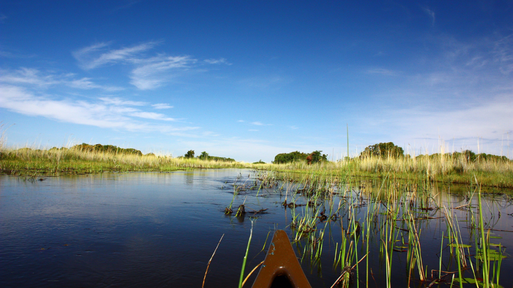 On the water in the Okavango Delta, Botswana