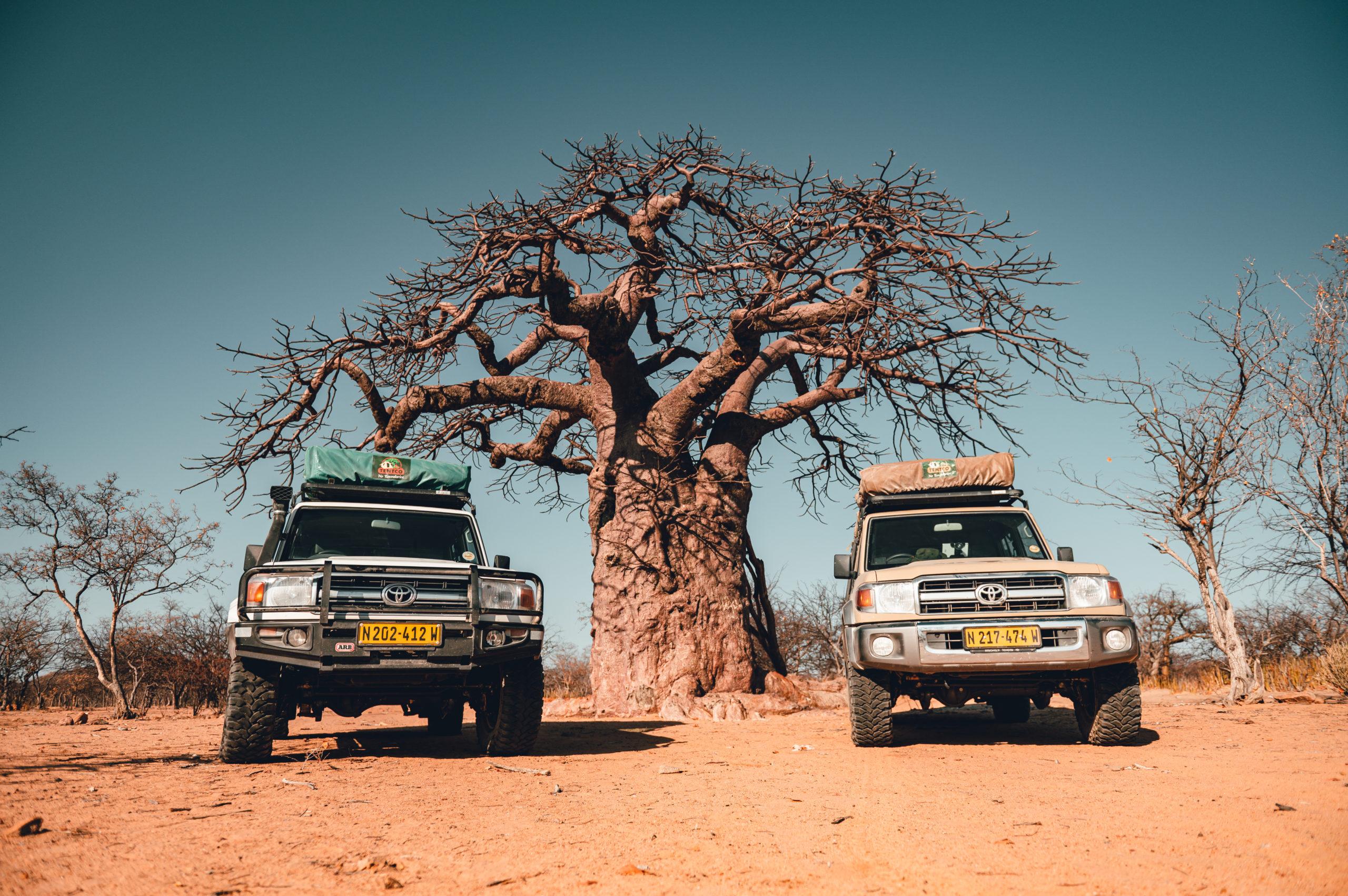 landcruiser-in-front-of-baobab-tree-photo-by-matej-smucr-scaled