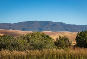 Scenic view of landscape at Overberg district, South Africa