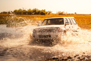 Off-road on a safari in Chobe National Park, Botswana