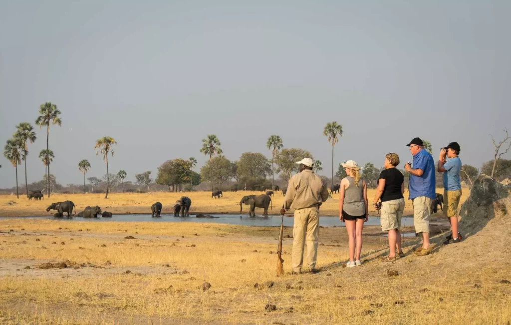 A group on a walking safari in Mana Pools National Park, Zimbabwe