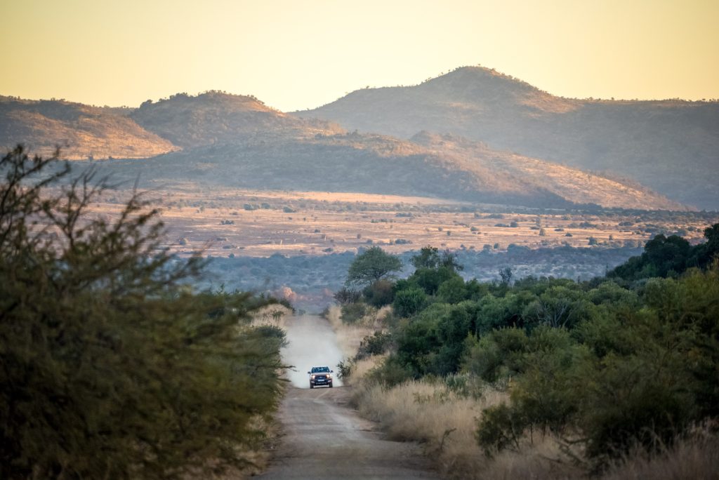 4x4 drives through the bushes at Pilanesberg Game Reserve, South Africa. Photo: Getty Images