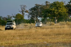 Moremi Self Driving - TravelAfricaYourWay