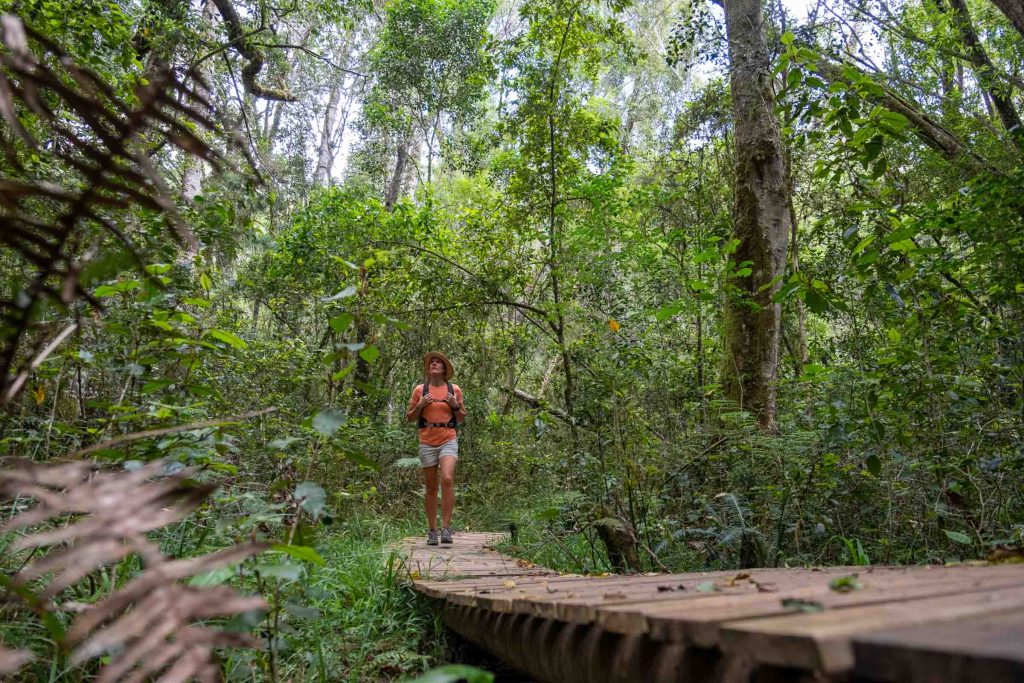 Woman enjoys a hike through a wooden forest on her vacation.