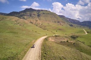 Photo taken in Drakensberg Garden, South Africa.