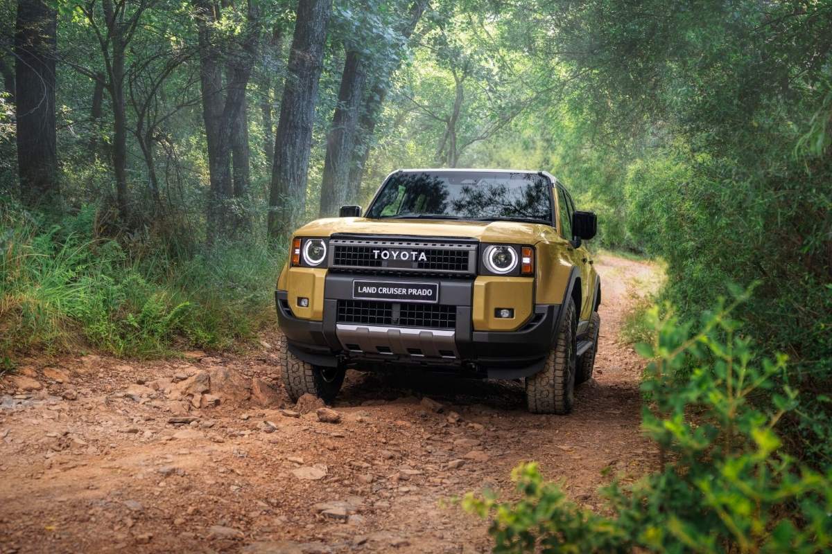 The Toyota Land Cruiser Prado in a forest.