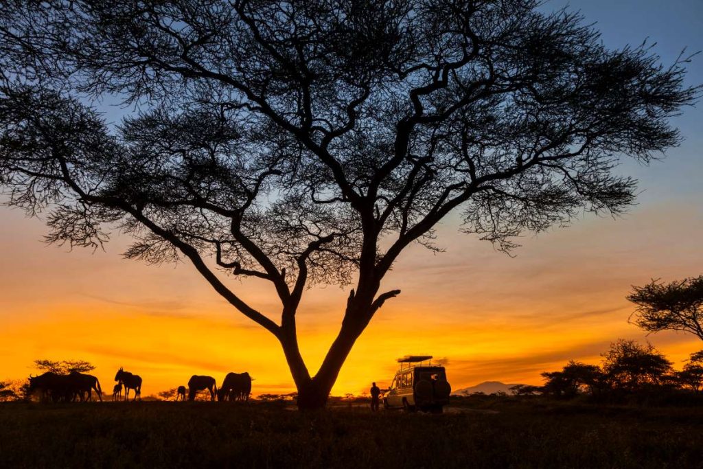 Sunset in the Waterberg in Limpopo.