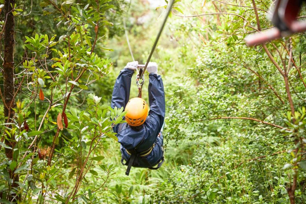 A woman goes down a zipline through trees.