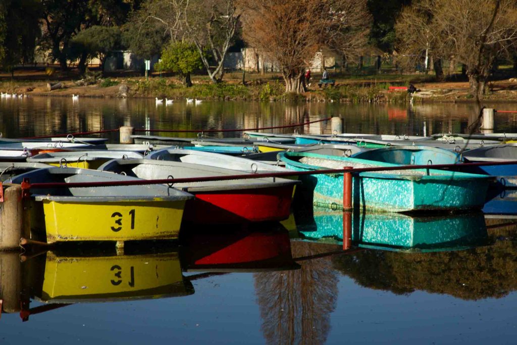 Colorful boats on Zoo Lake.